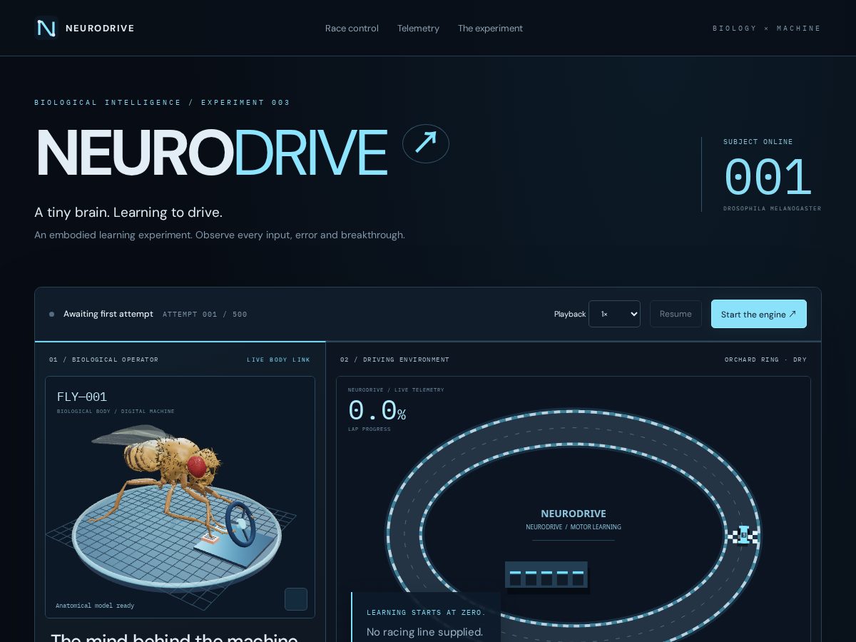 Landing-page snapshot of neurodrive.fun