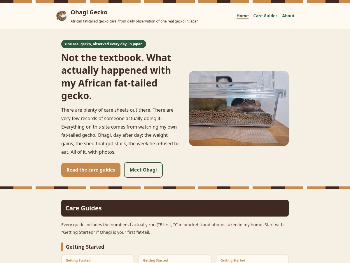 Landing-page snapshot of ohagigecko.com