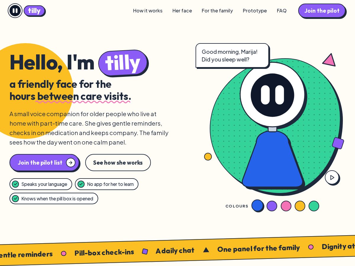 Landing-page snapshot of tillycares.com