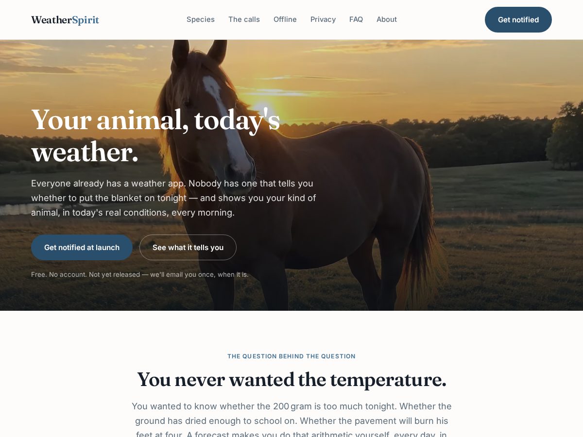 Landing-page snapshot of weatherspirit.com