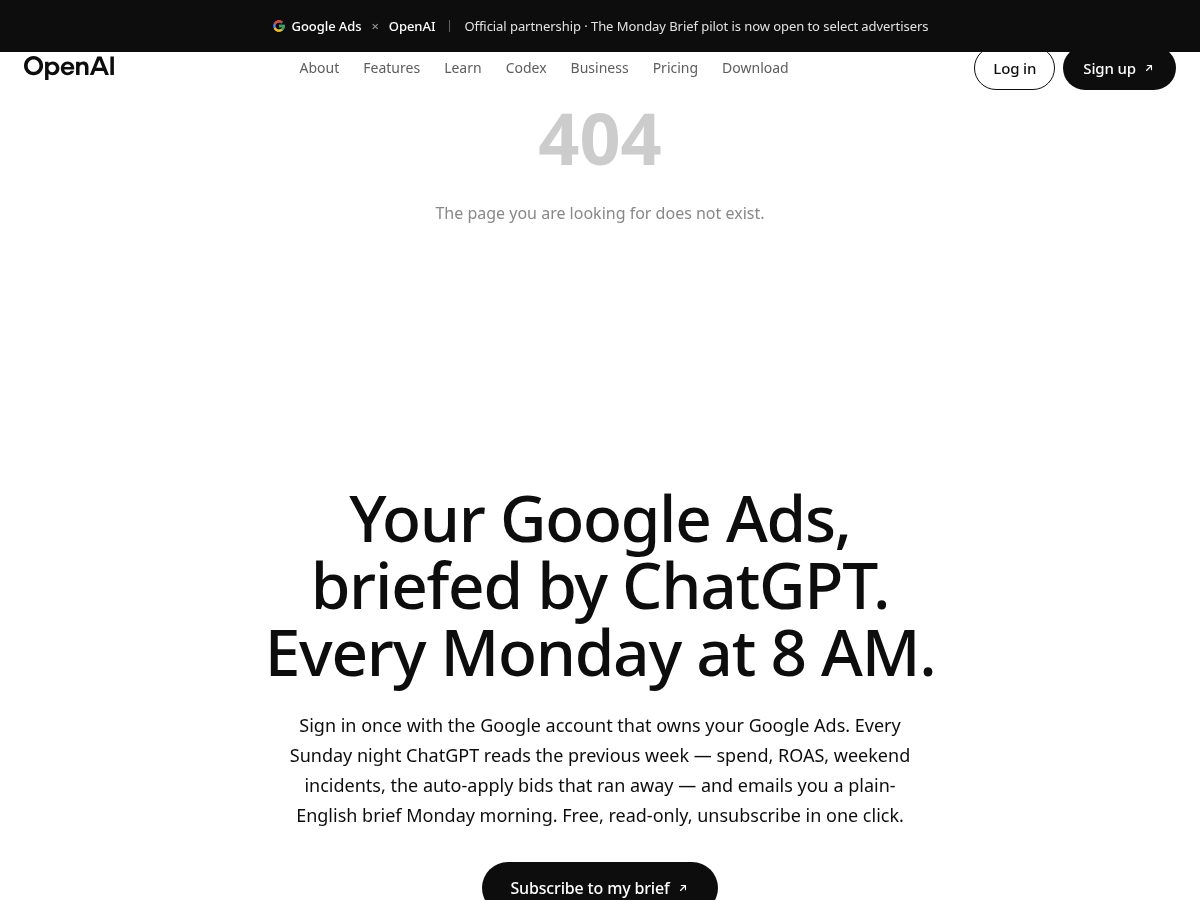 Landing-page snapshot of briefing-chatgpt.com