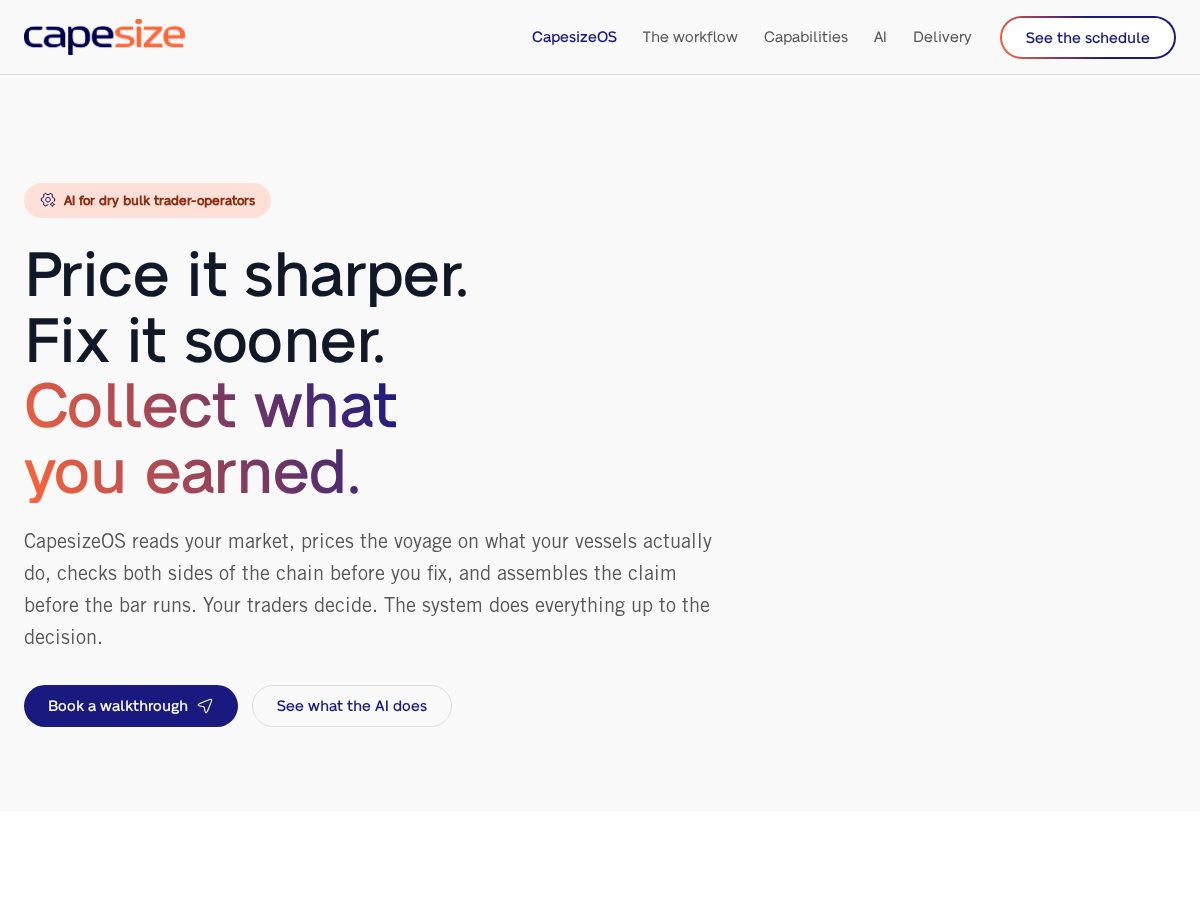 Landing-page snapshot of capesizeos.com