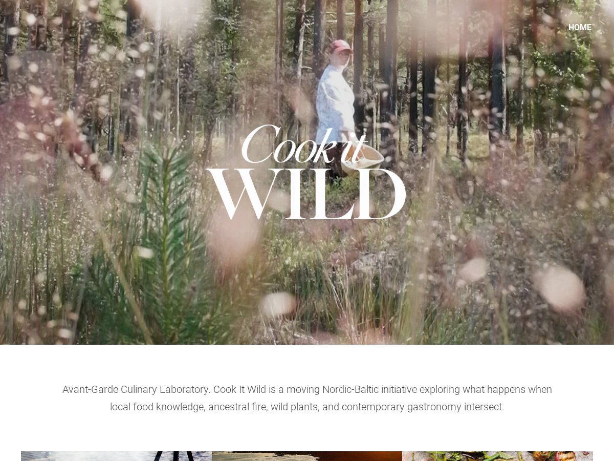 Landing-page snapshot of cookitwild.com
