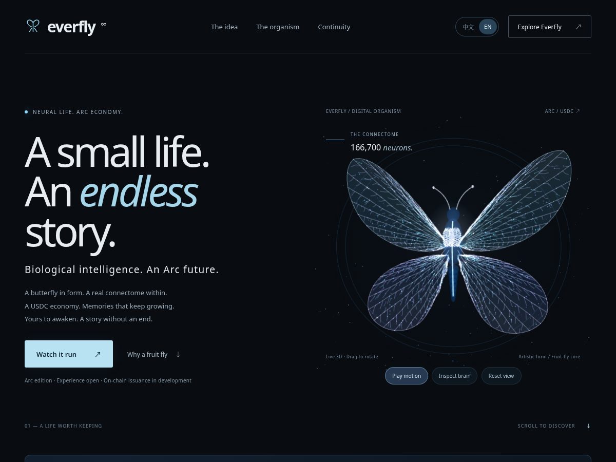 Landing-page snapshot of everfly.online