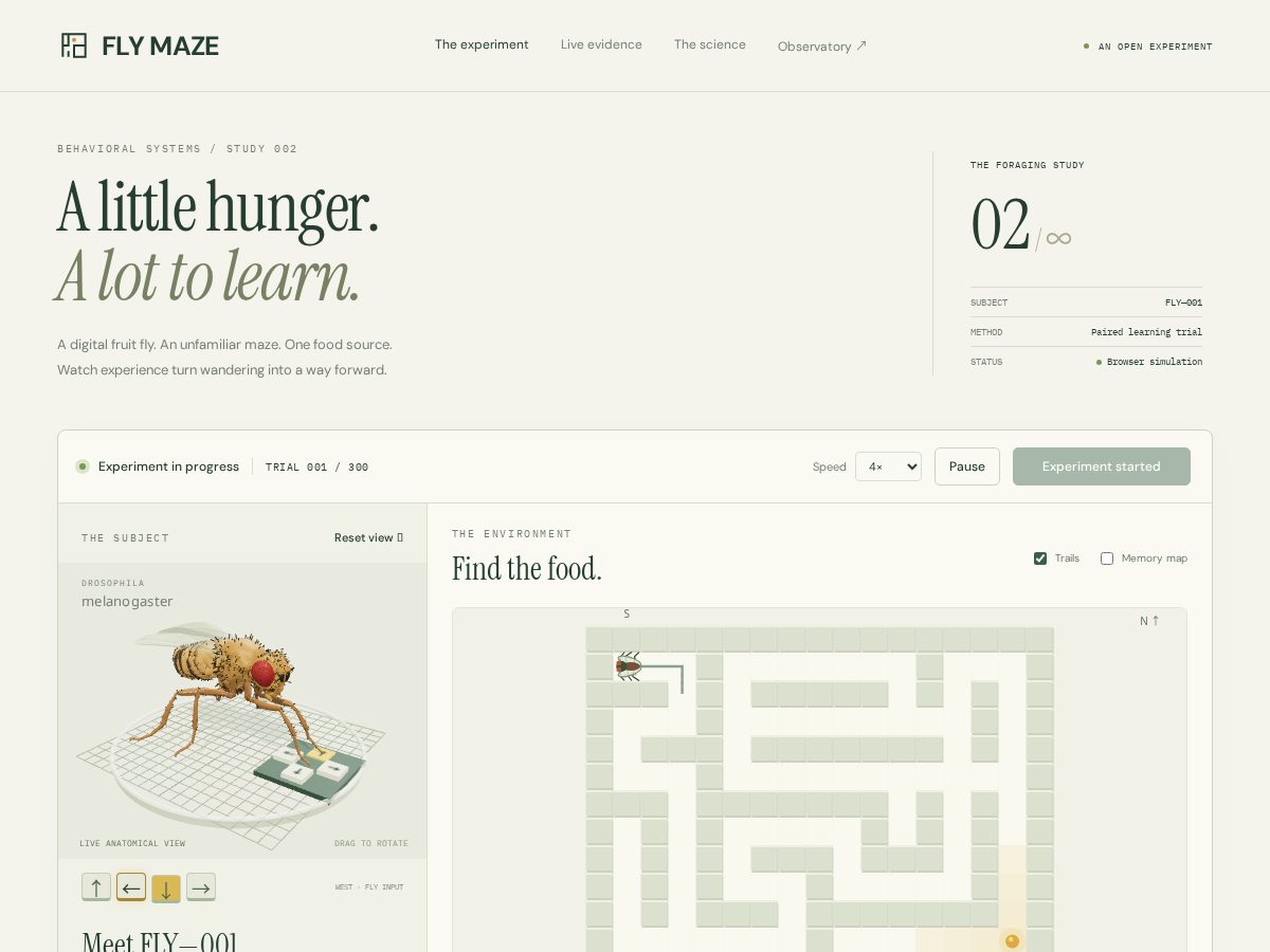 Landing-page snapshot of flymaze.fun