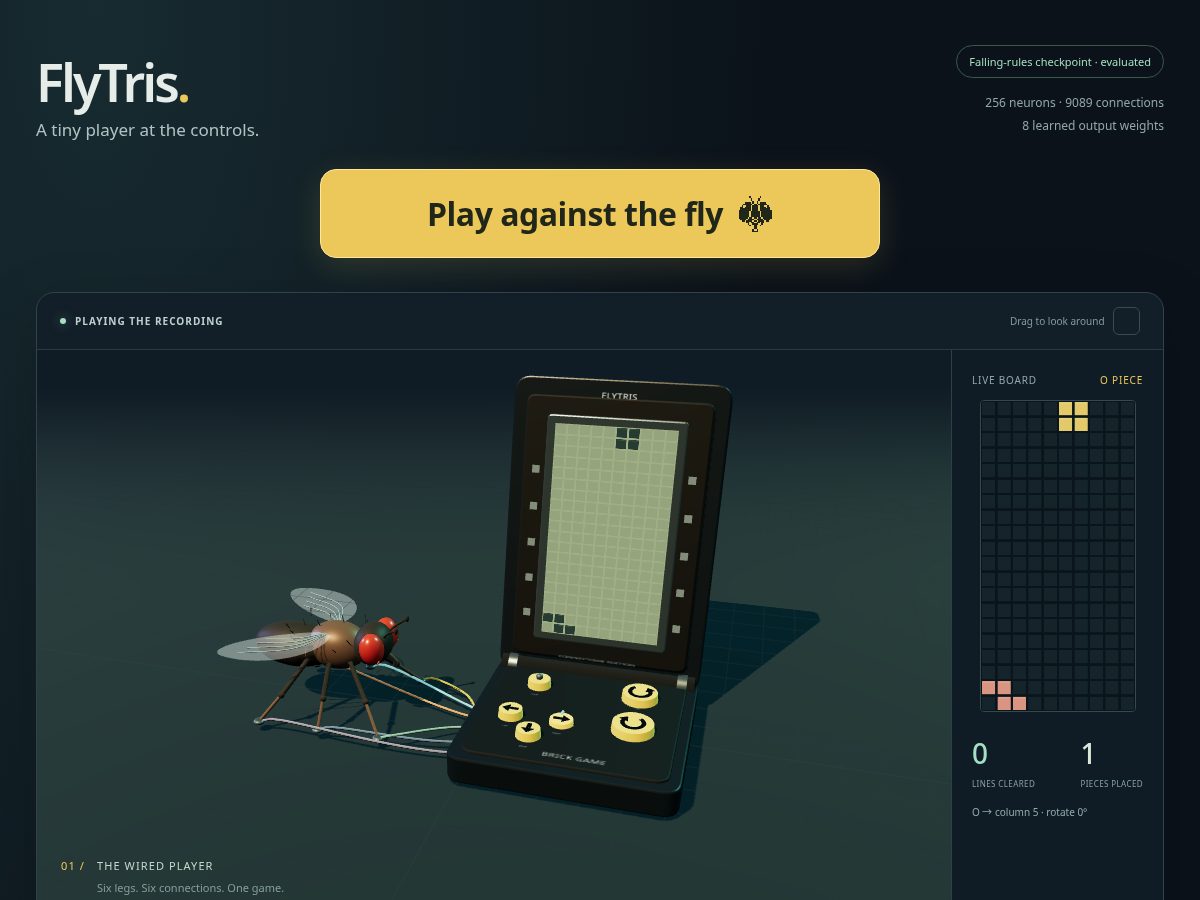 Landing-page snapshot of flytris.net