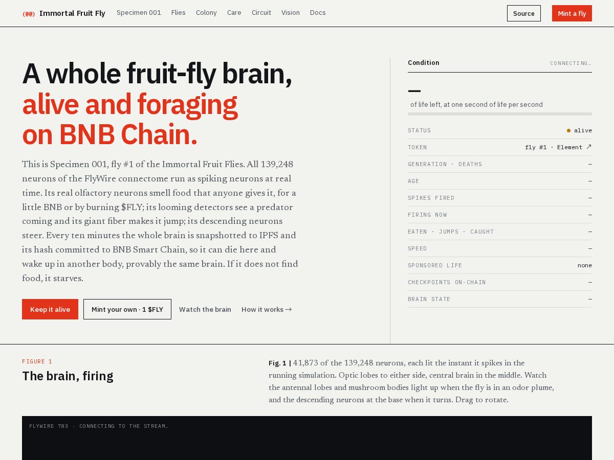 Landing-page snapshot of immortalfly.app