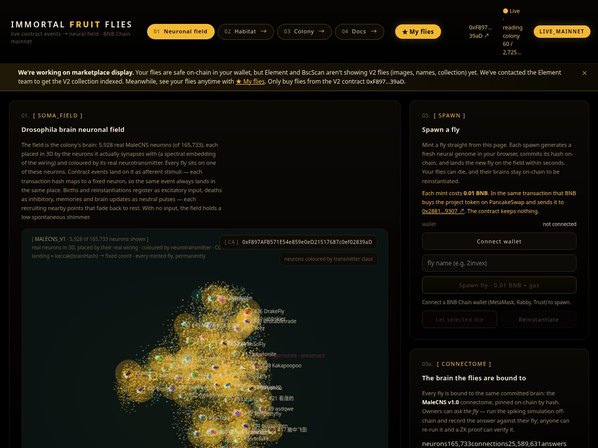 Landing-page snapshot of immortalfruitflies.app
