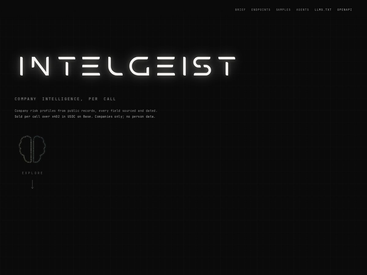 Landing-page snapshot of intelgeist.net