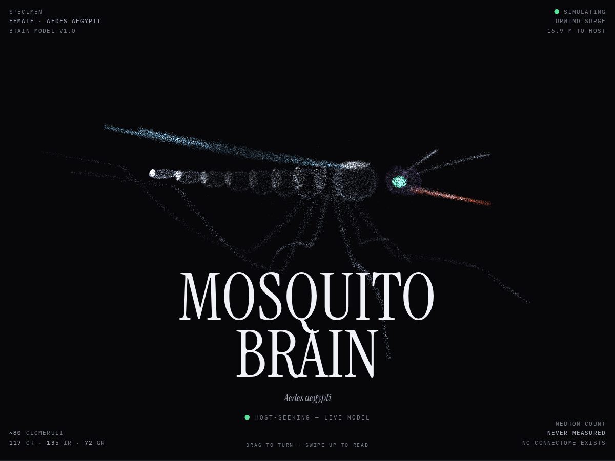 Landing-page snapshot of mosquitobrain.fun