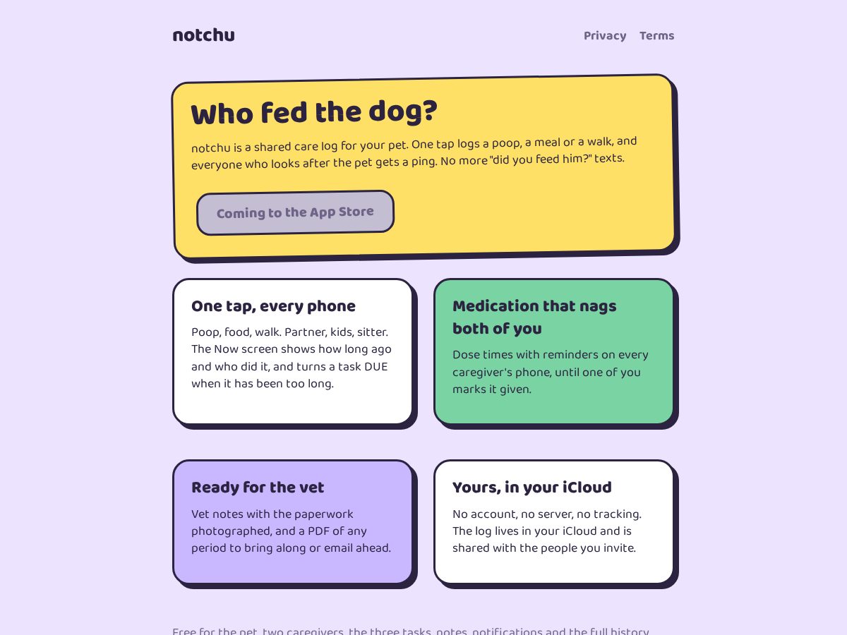 Landing-page snapshot of notchu.com