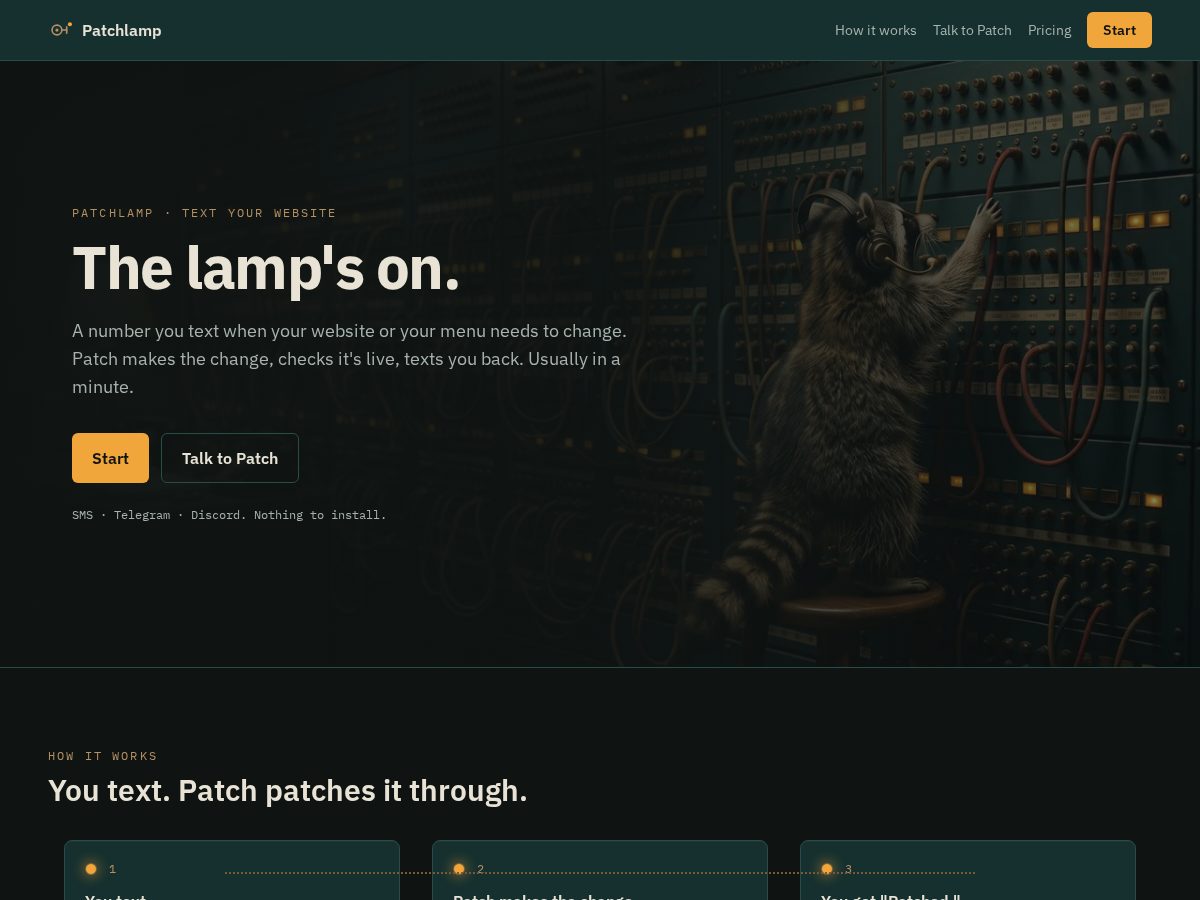 Landing-page snapshot of patchlamp.com