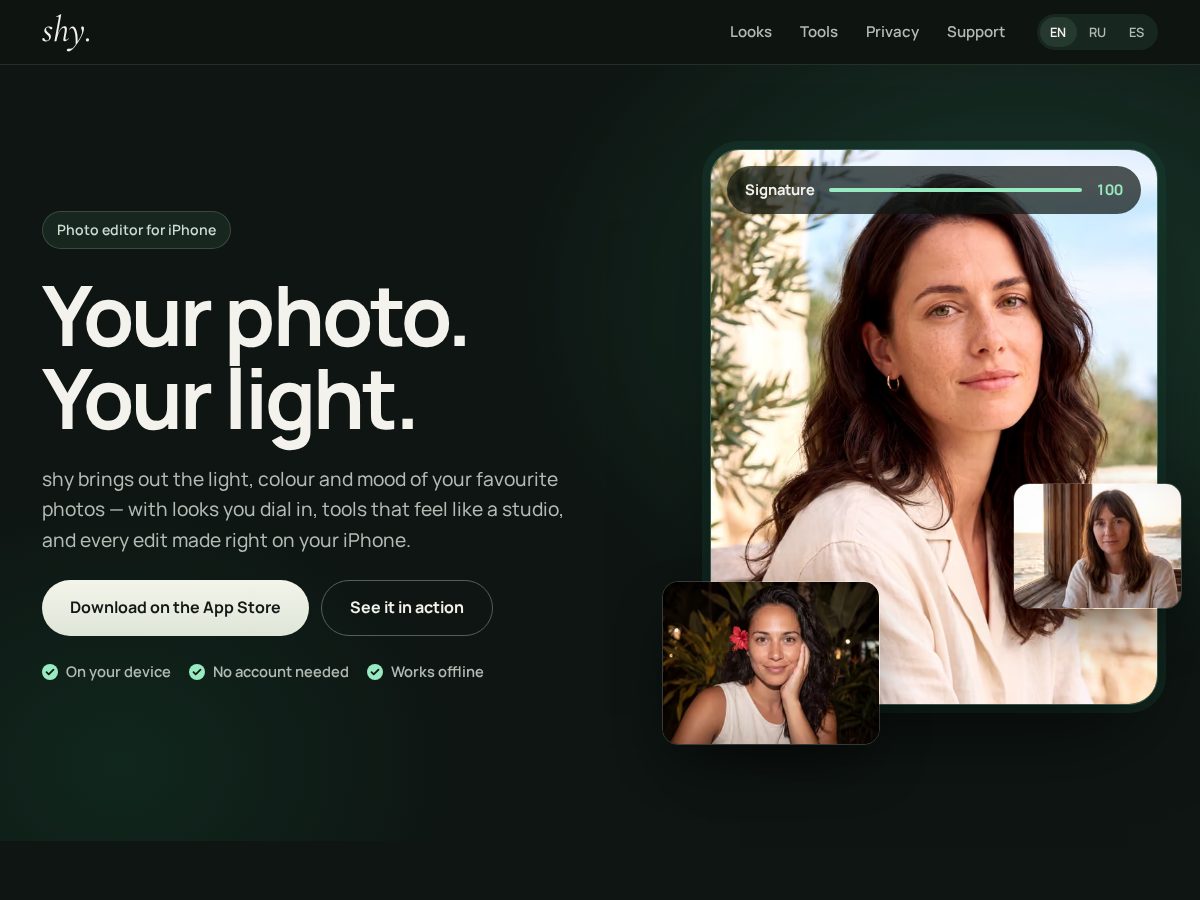 Landing-page snapshot of shyedit.com