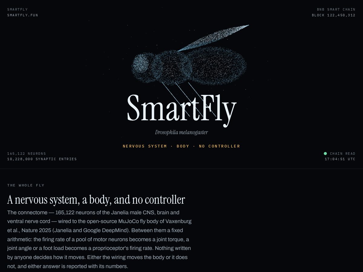 Landing-page snapshot of smartfly.fun