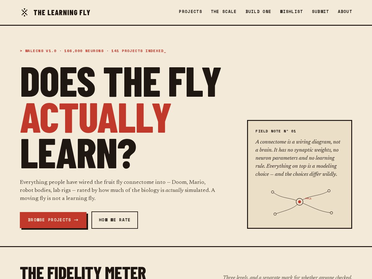 Landing-page snapshot of thelearningfly.com