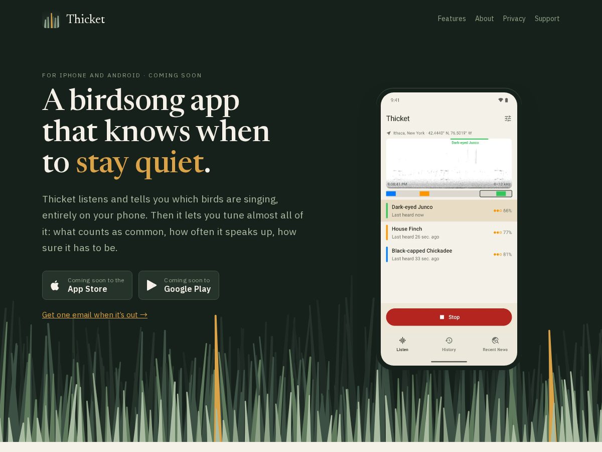 Landing-page snapshot of thicketbirds.com