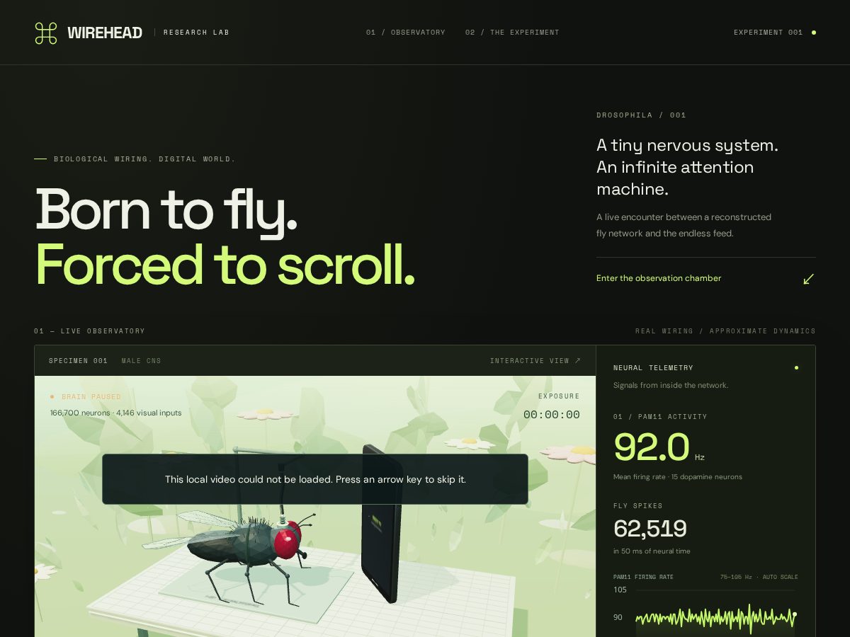 Landing-page snapshot of wirehead.fun