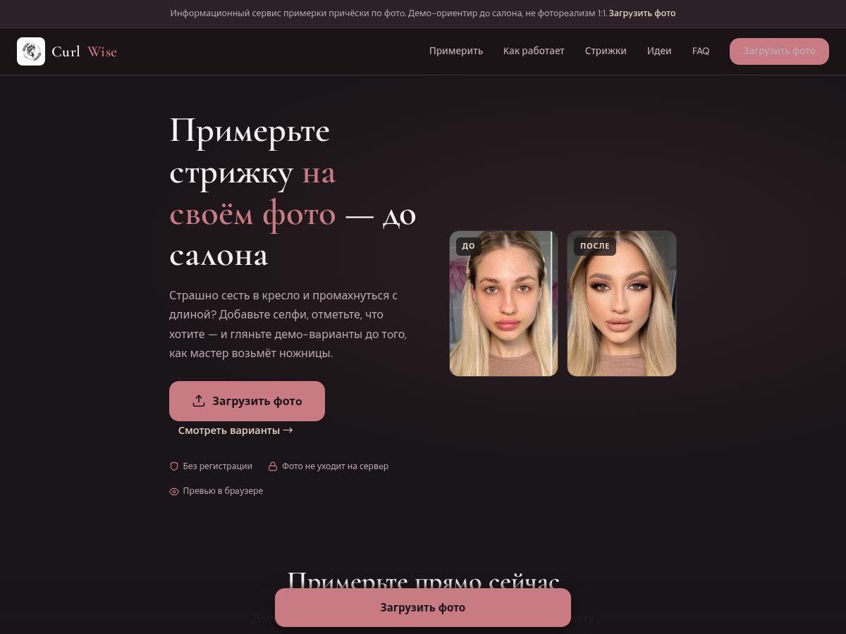Landing-page snapshot of curlwise.space