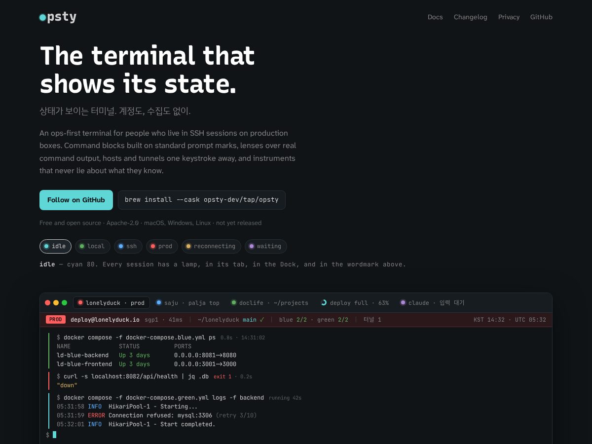 Landing-page snapshot of opsty.app
