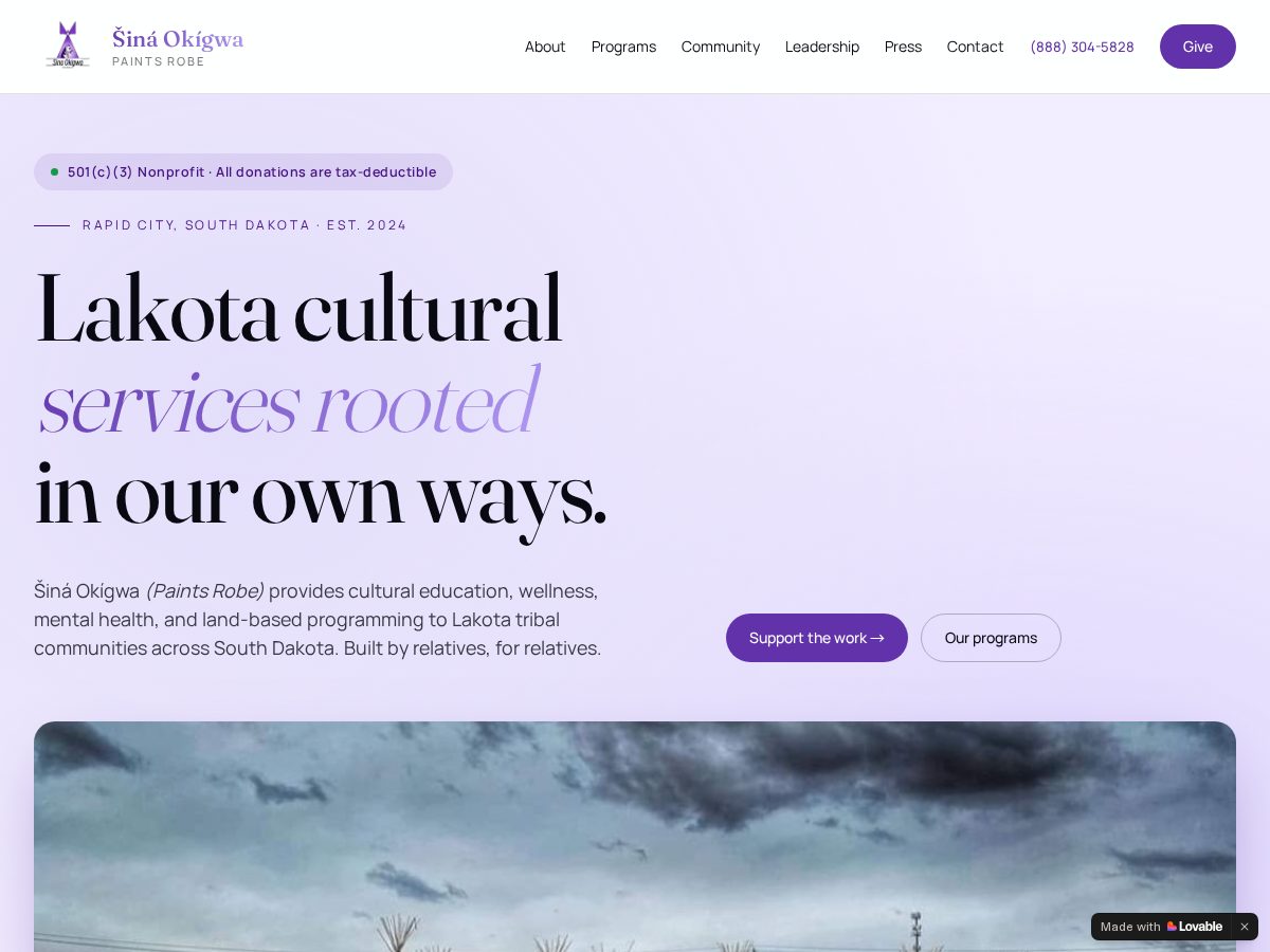 Landing-page snapshot of paintsrobe.com