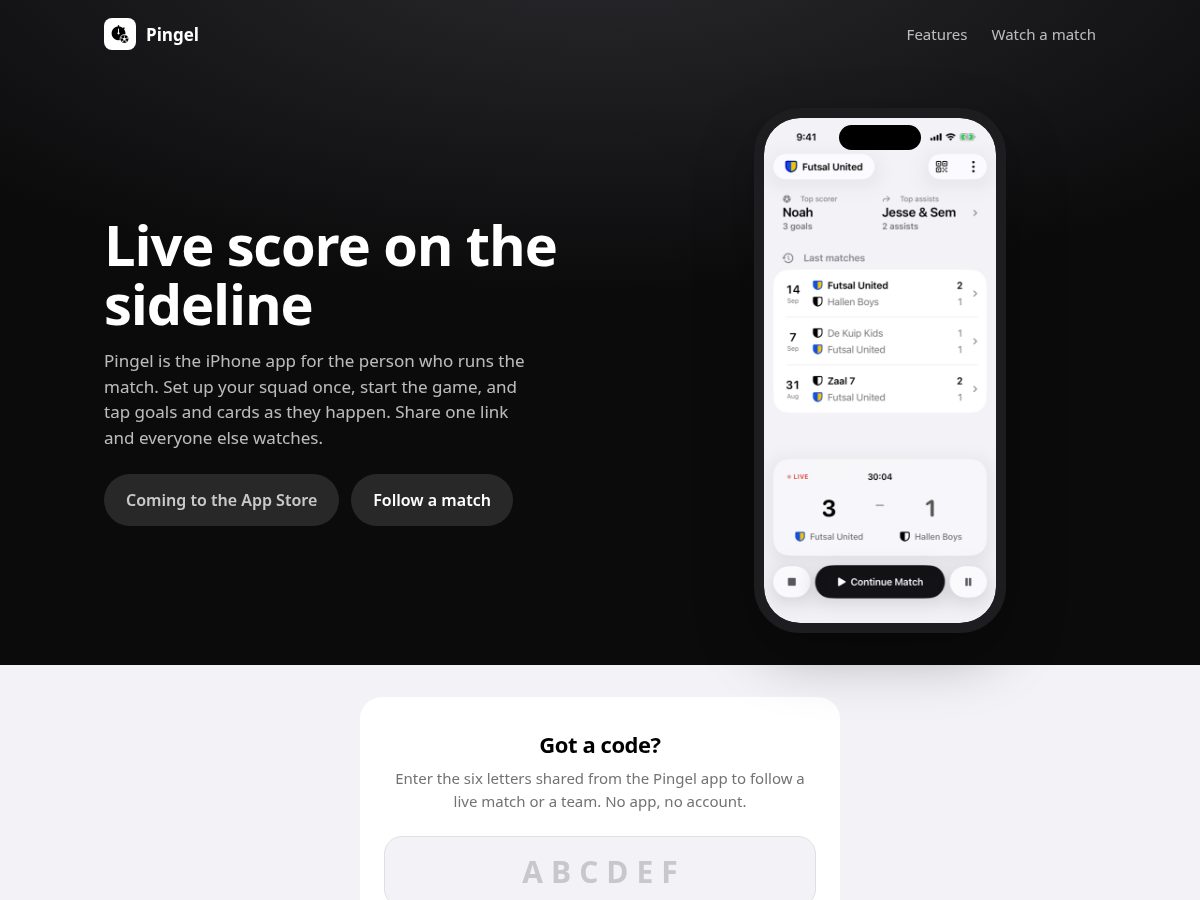 Landing-page snapshot of pingel.app