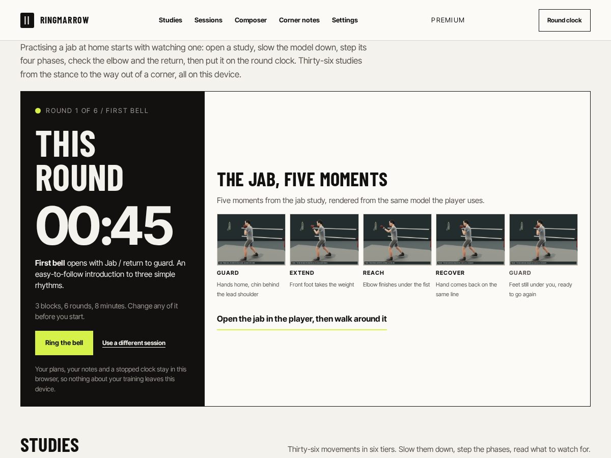 Landing-page snapshot of ringmarrow.com