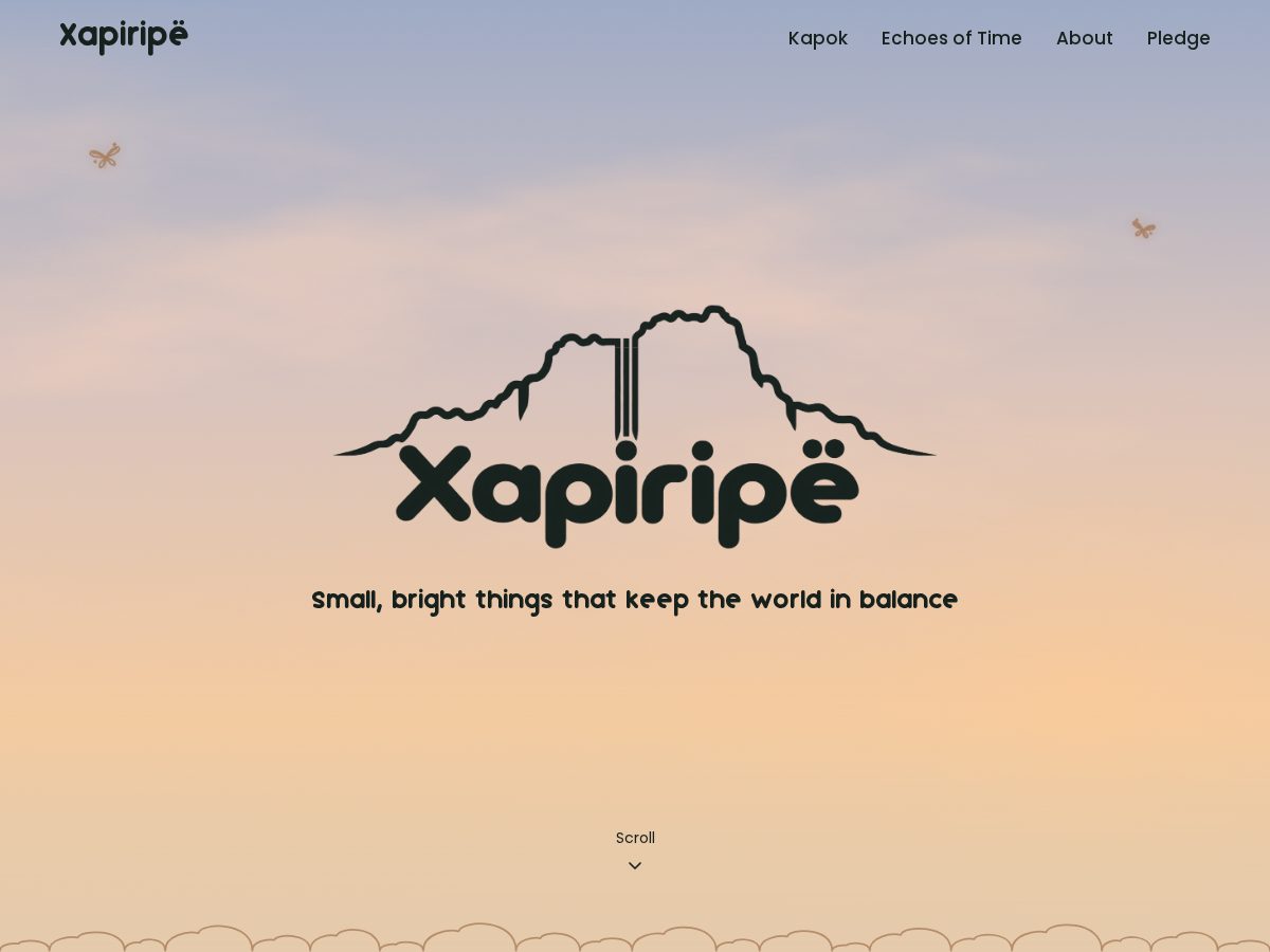 Landing-page snapshot of xapiripe.org
