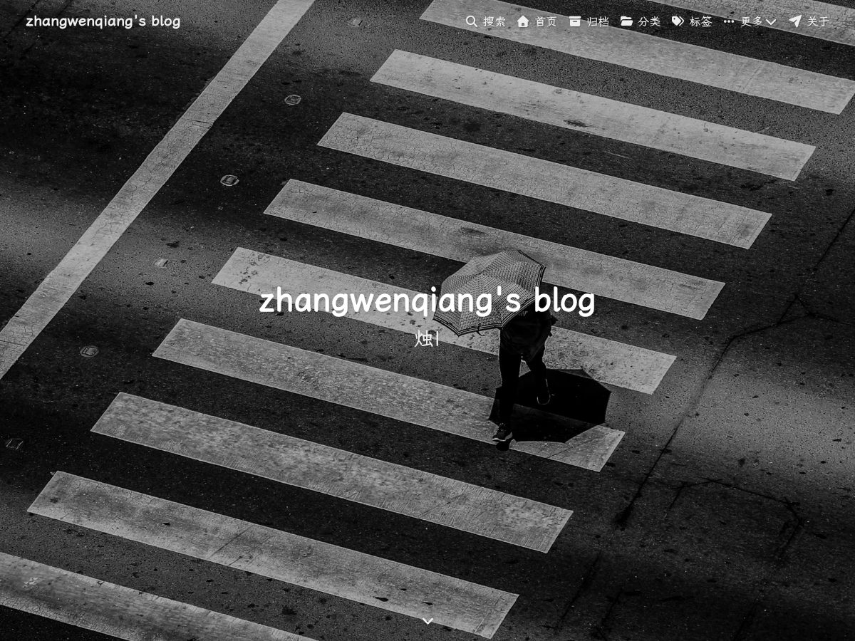 Landing-page snapshot of zhangwenqiang.com