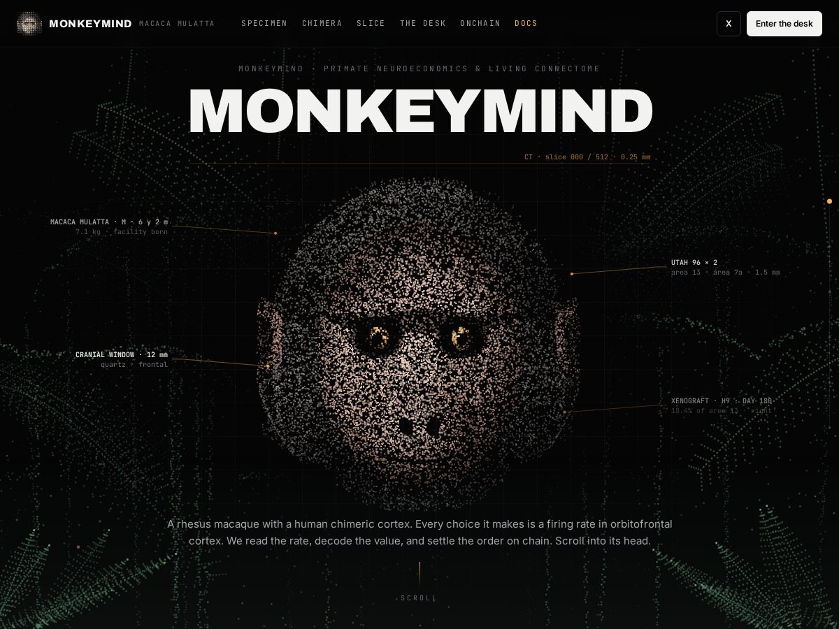 Landing-page snapshot of amonkeysmind.online