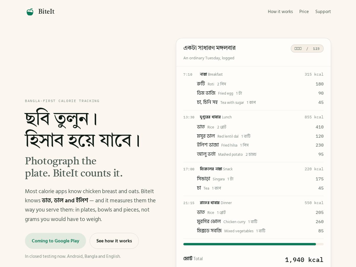 Landing-page snapshot of biteit.pro