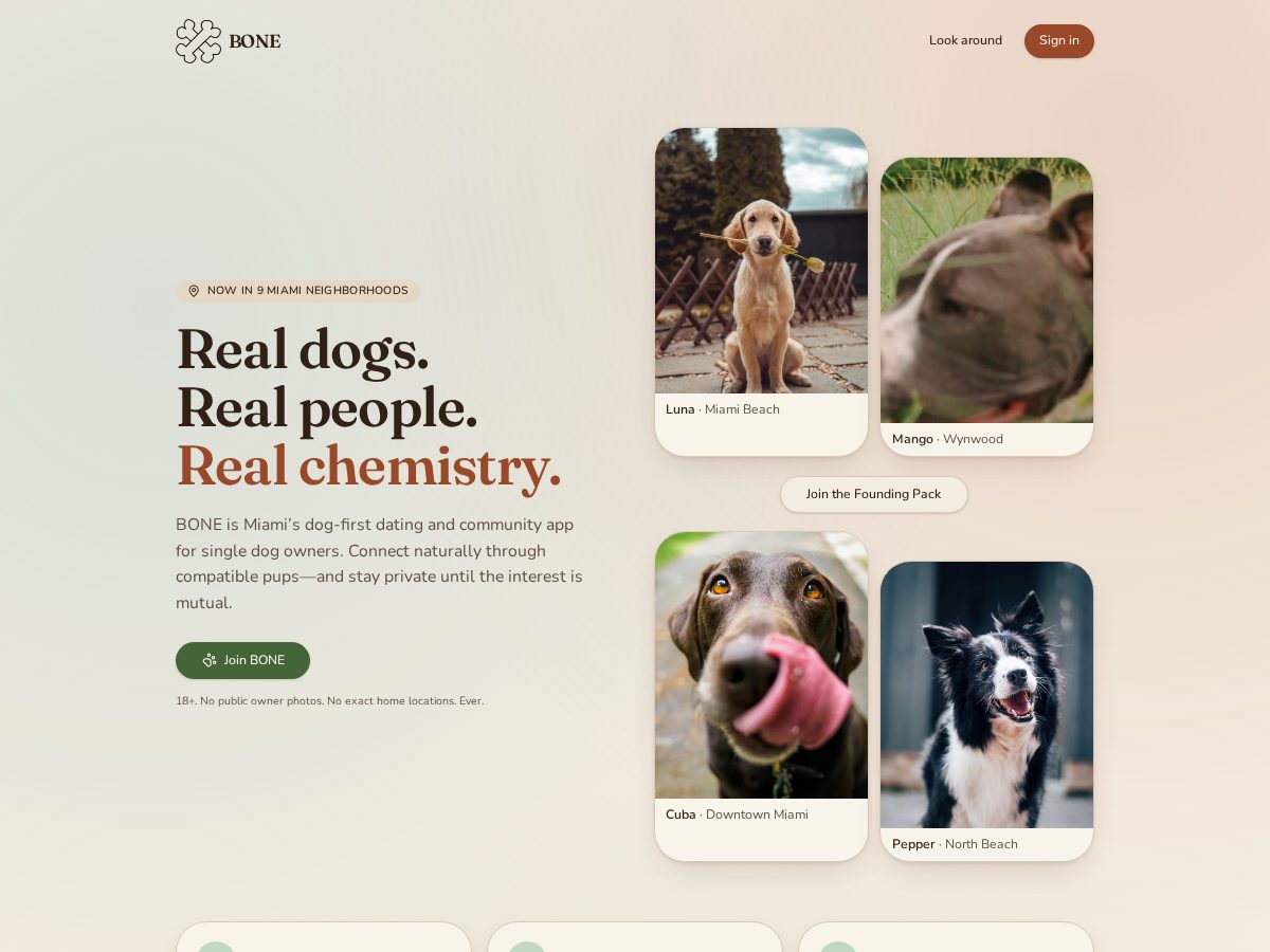 Landing-page snapshot of bonerizz.com