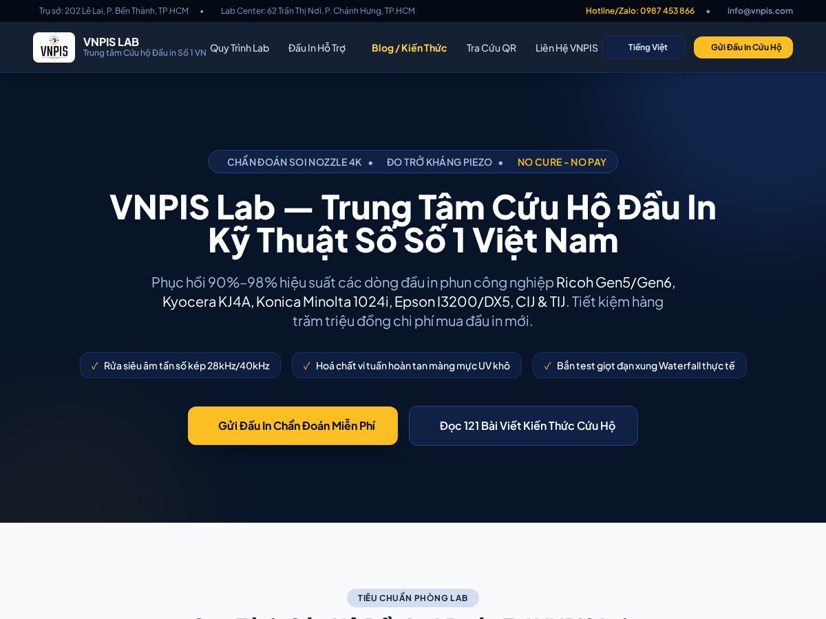 Landing-page snapshot of cuuhodauin.com