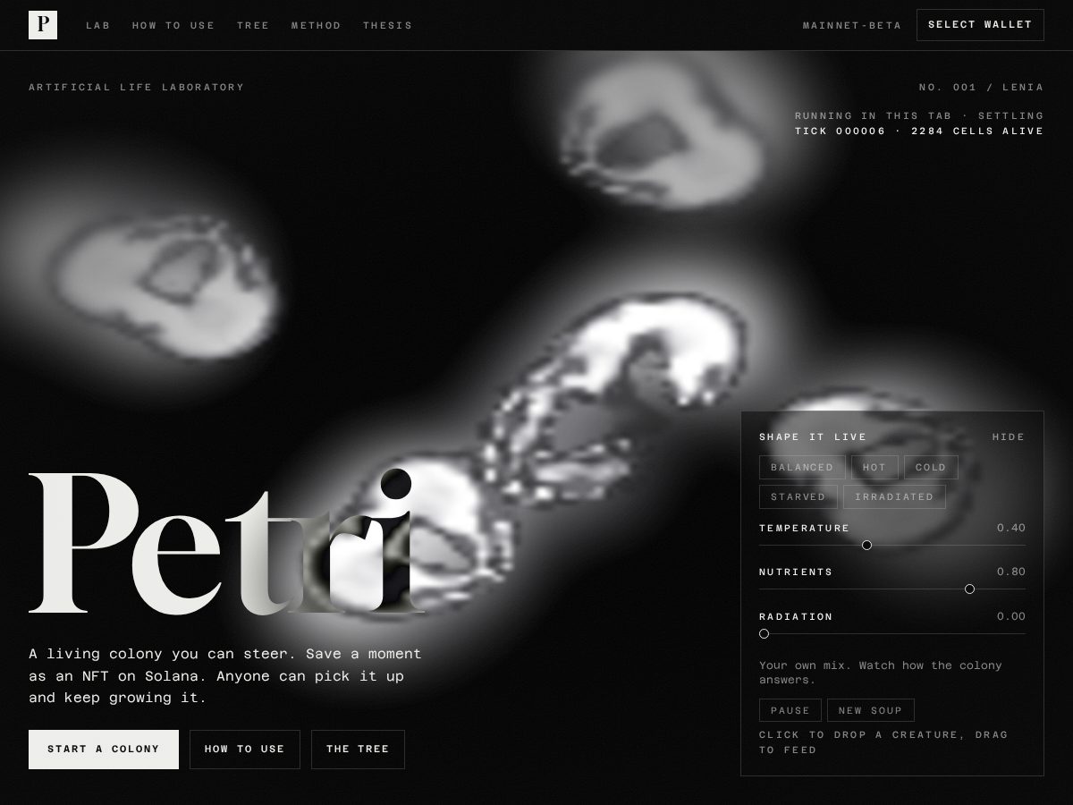 Landing-page snapshot of petriexp.xyz