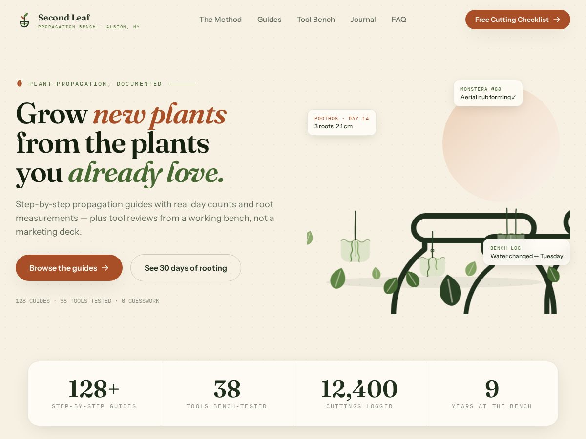 Landing-page snapshot of secondleaf.online