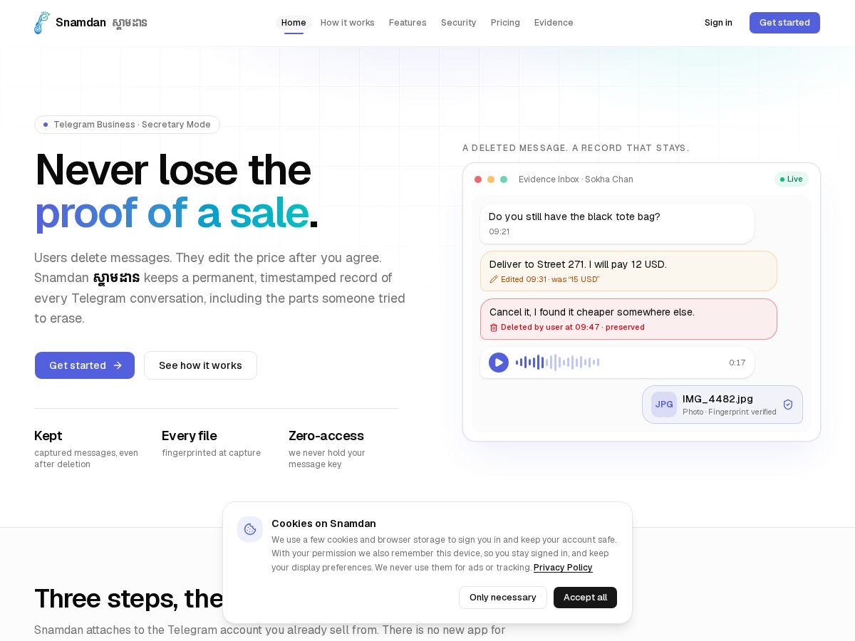 Landing-page snapshot of snamdan.com