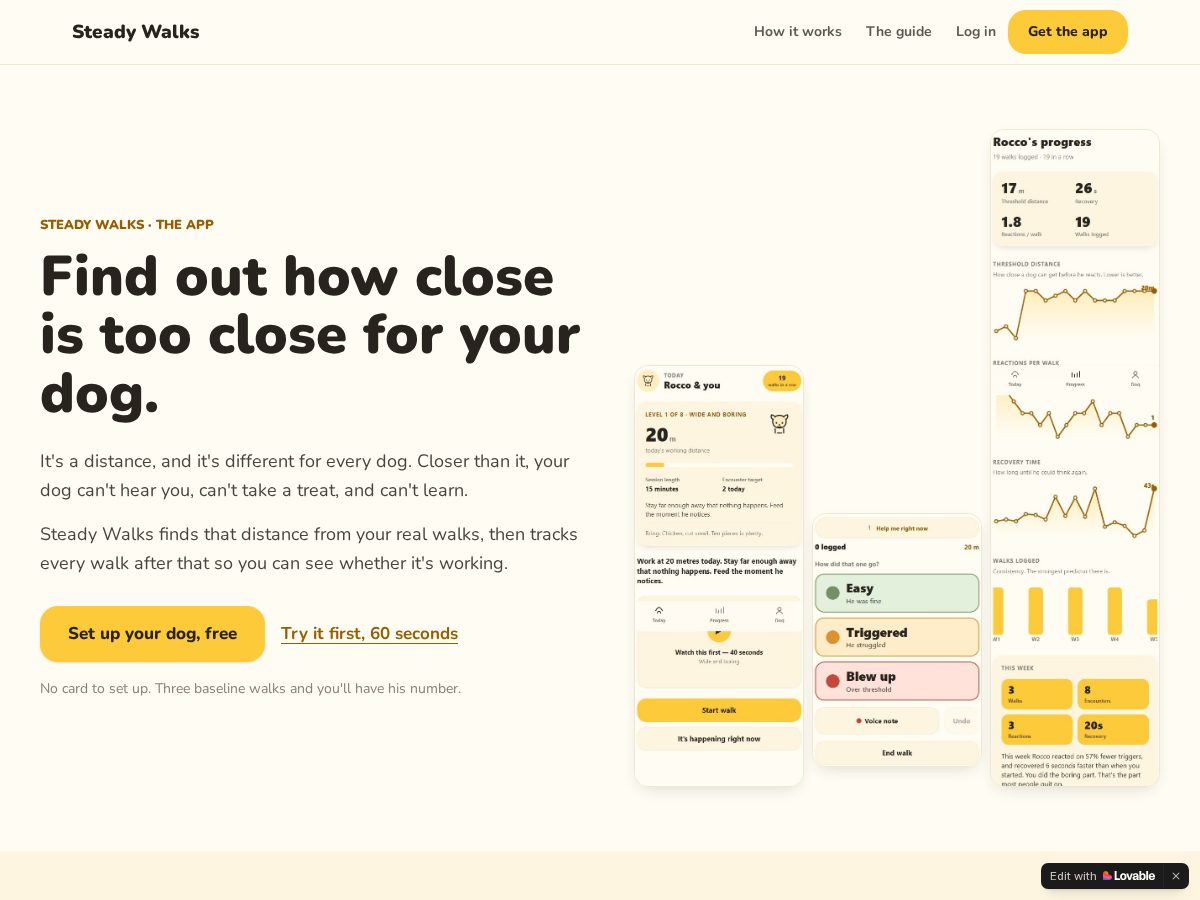 Landing-page snapshot of steadywalks.com
