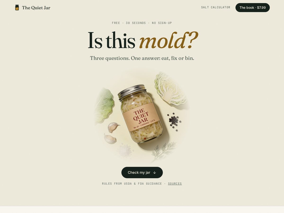 Landing-page snapshot of thequietjar.com