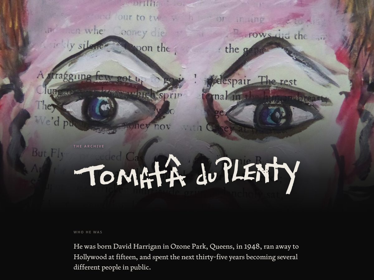 Landing-page snapshot of tomataduplenty.org