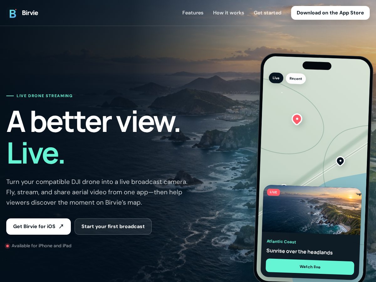 Landing-page snapshot of birvie.com