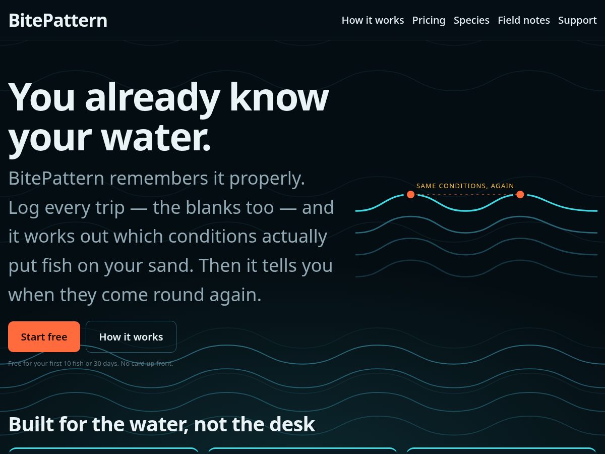 Landing-page snapshot of bitepattern.com