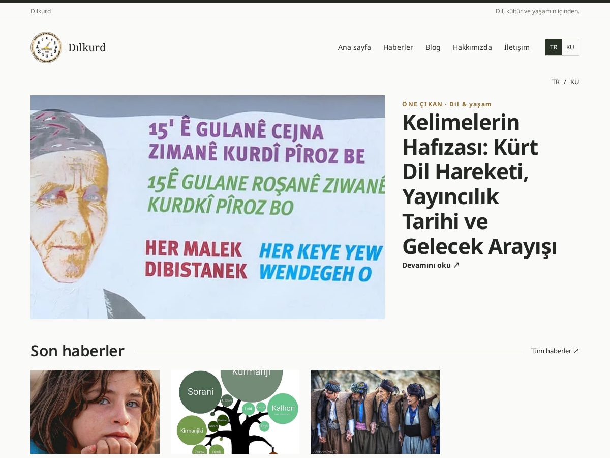 Landing-page snapshot of dilkurd.com