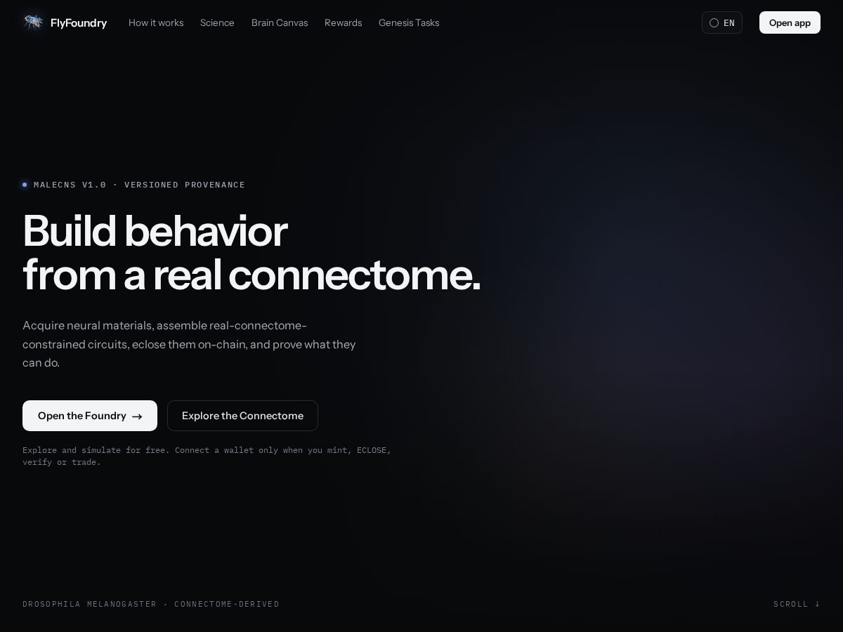 Landing-page snapshot of flyfoundry.xyz