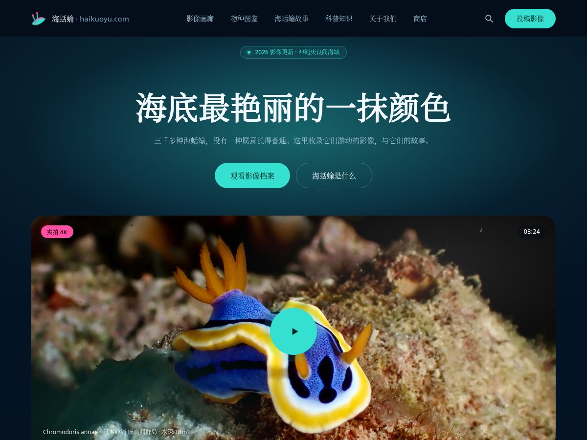 Landing-page snapshot of haikuoyu.com