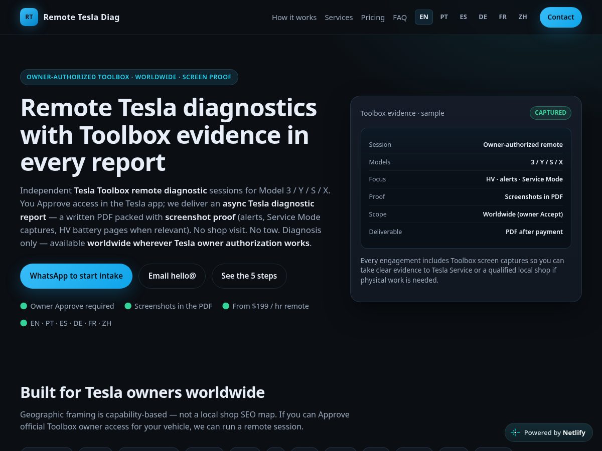 Landing-page snapshot of remotetesladiag.com