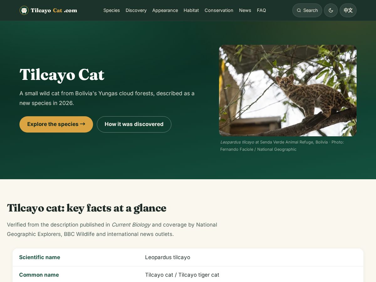 Landing-page snapshot of tilcayocat.com