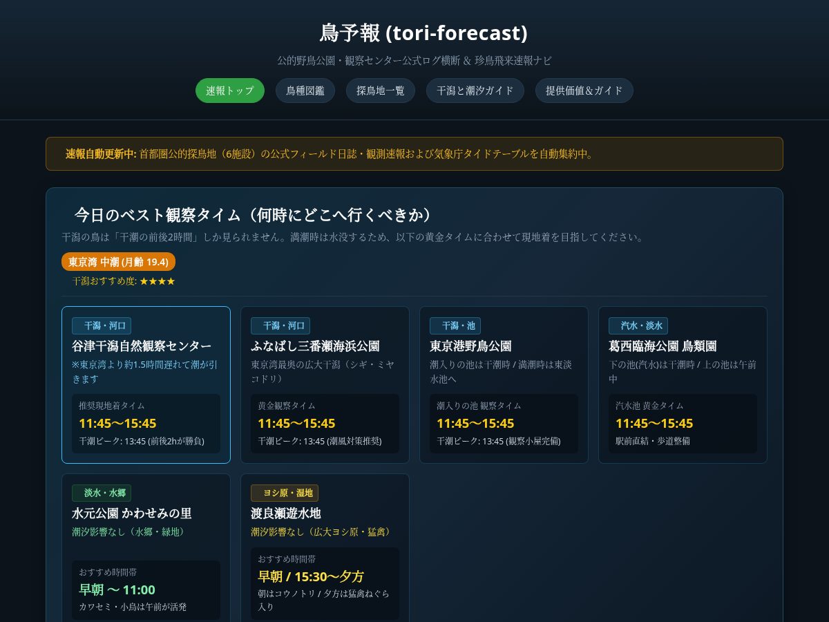 Landing-page snapshot of tori-forecast.com