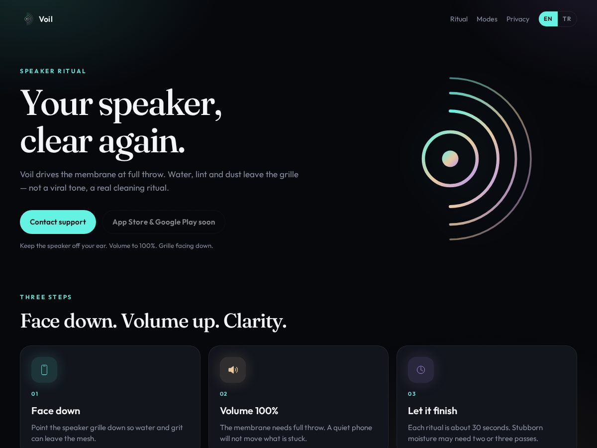 Landing-page snapshot of voil.online