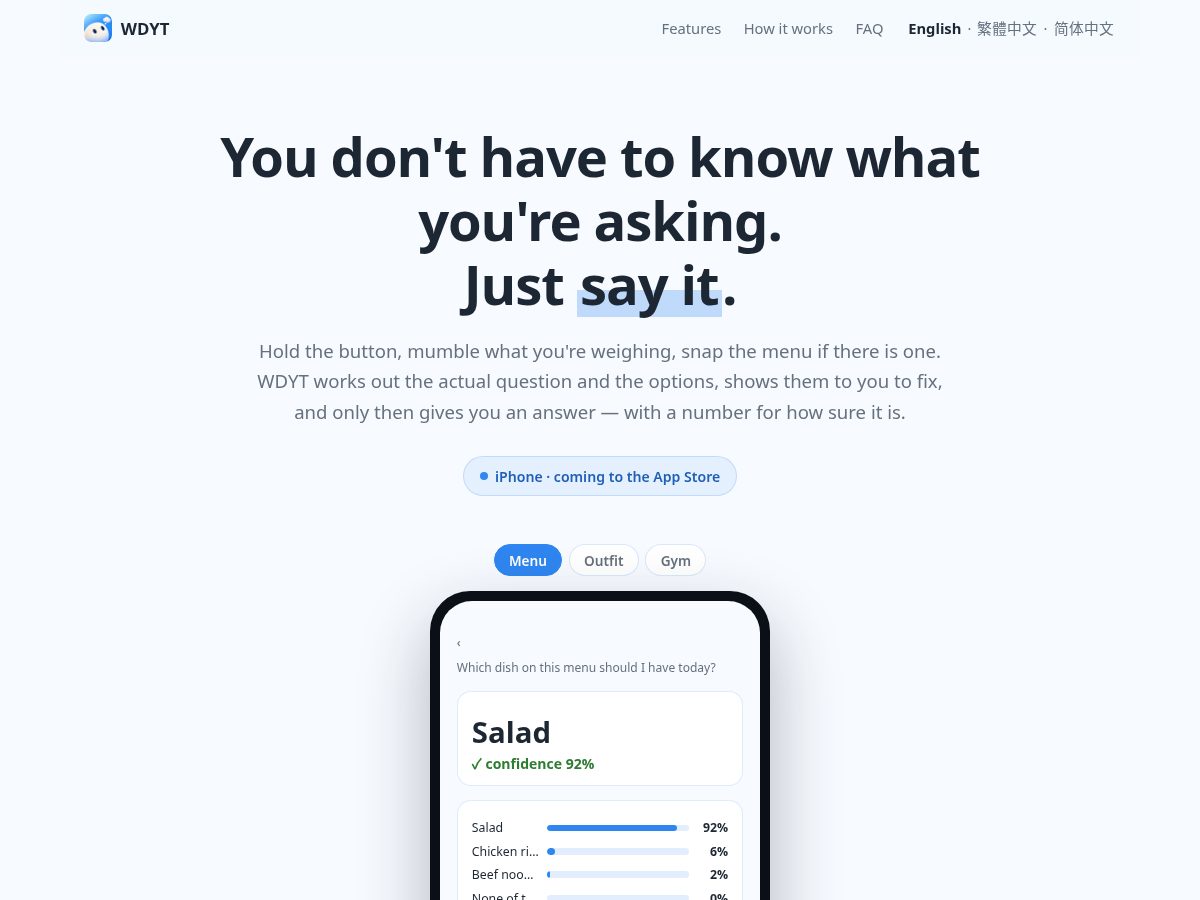 Landing-page snapshot of wdytai.app