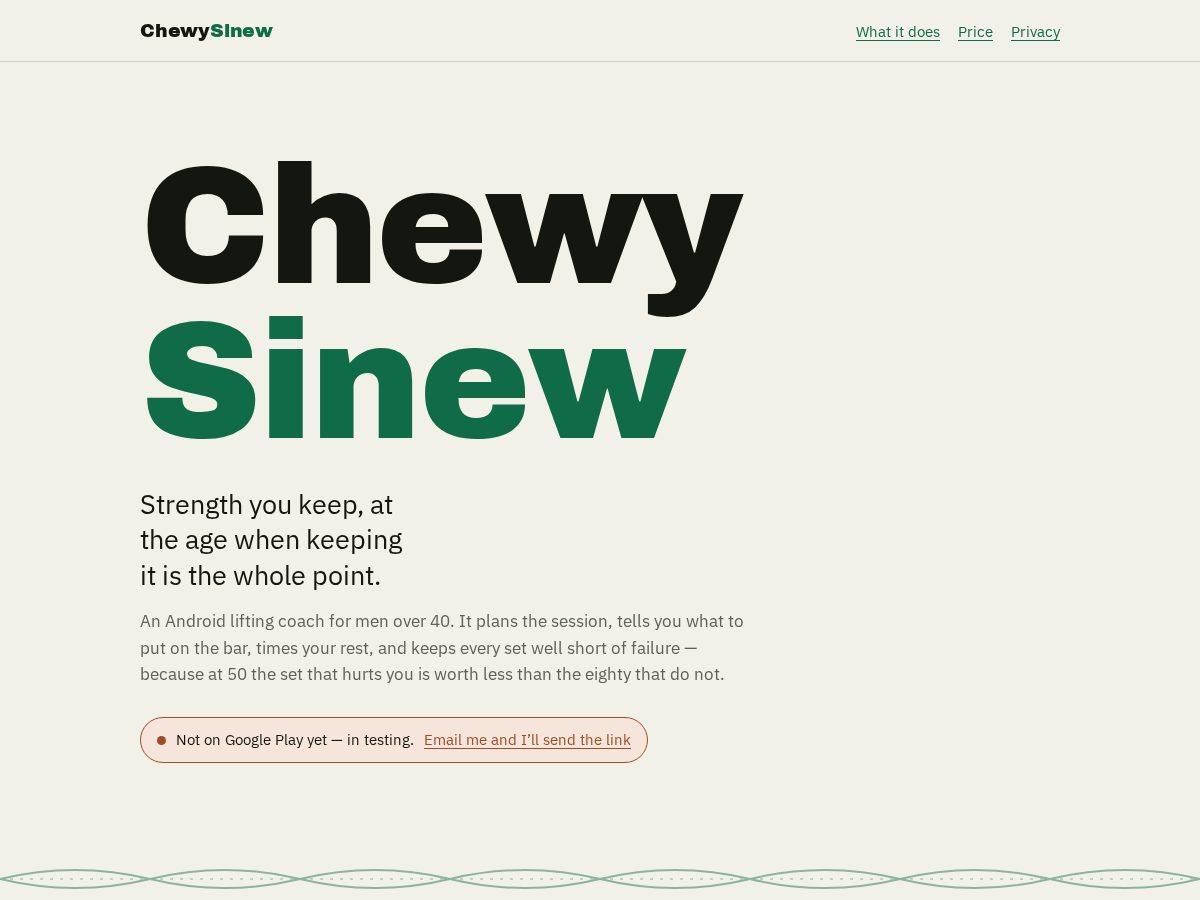 Landing-page snapshot of chewysinew.com
