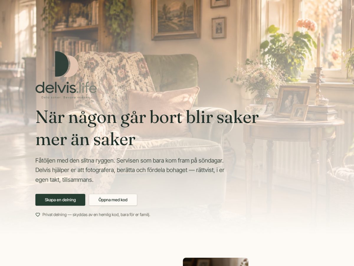 Landing-page snapshot of delvis.life